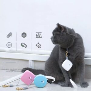 Portable Mini Automatic Retractable Leash For Cats And Dogs