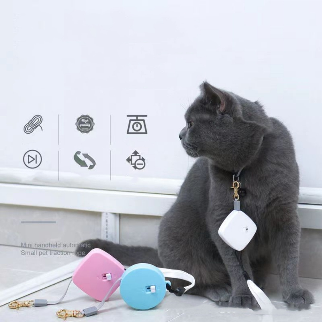 Portable Mini Automatic Retractable Leash For Cats And Dogs