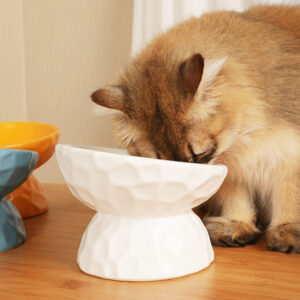 Elevated Ceramic Cat Bowl with Stand