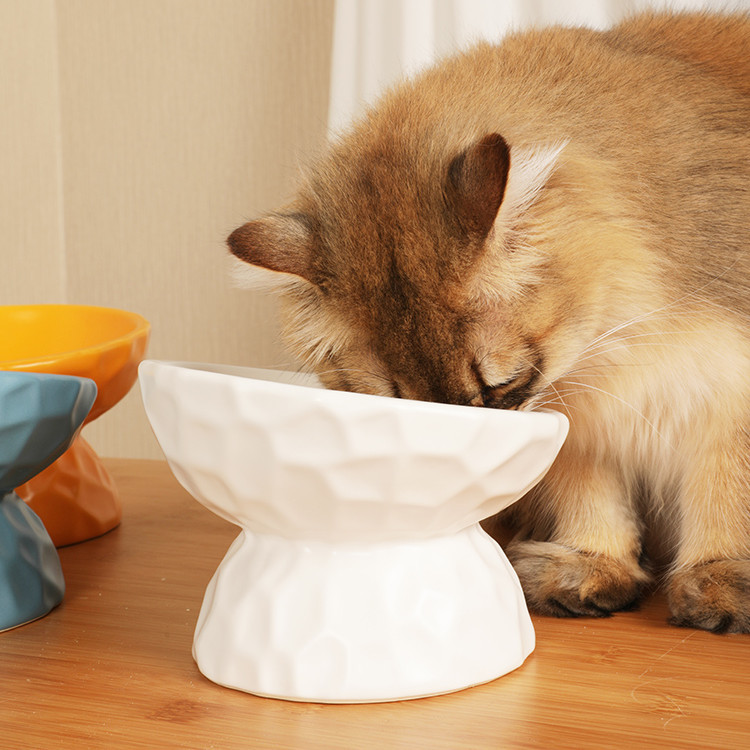 Elevated Ceramic Cat Bowl with Stand