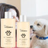 Pet Shampoo for Dogs & Cats – Mild Clean & Soft Coat