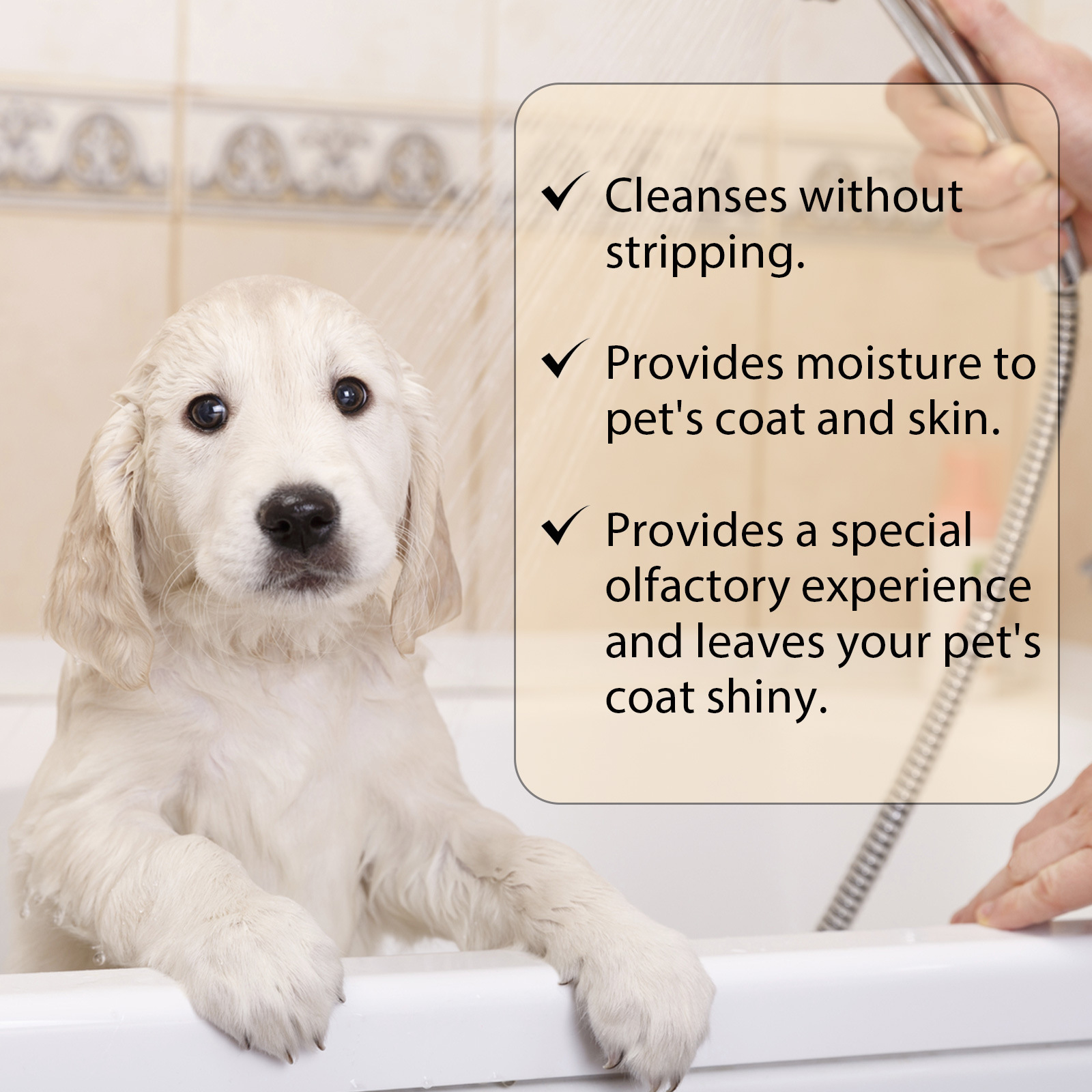 Pet Shampoo for Dogs & Cats – Mild Clean & Soft Coat | TaurusStores - Image 3