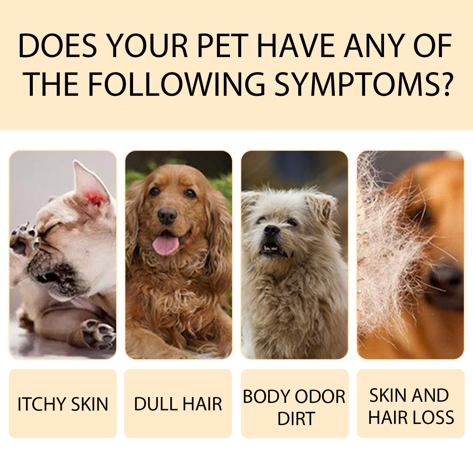 Pet Shampoo for Dogs & Cats – Mild Clean & Soft Coat | TaurusStores - Image 2