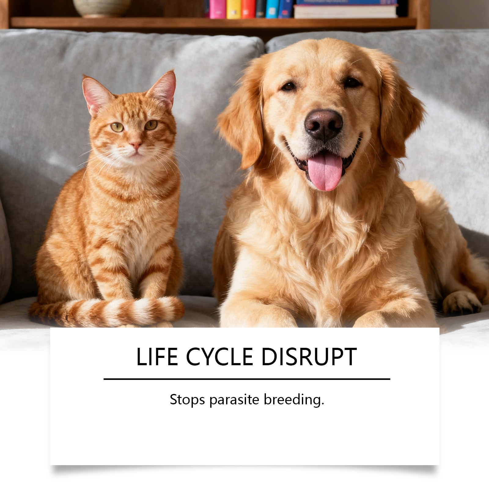 Flea And Tick Prevention Support Drops For Dogs And Cats - Image 3