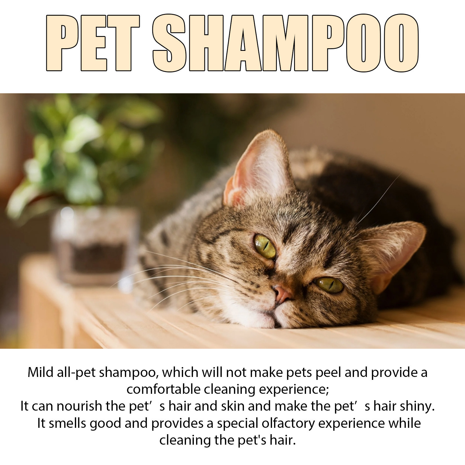 Pet Shampoo for Dogs & Cats – Mild Clean & Soft Coat | TaurusStores - Image 5